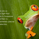 Illustration for article titled 20 Facts About Light To Brighten Your Curiosity